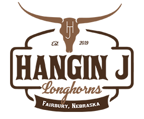 Hangin J Longhorns Logo
